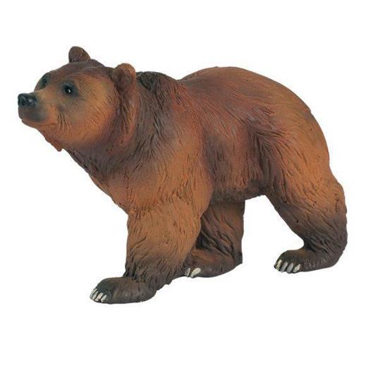 Orso dei pirenei - 2