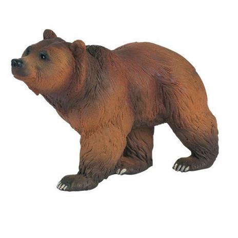 Orso dei pirenei