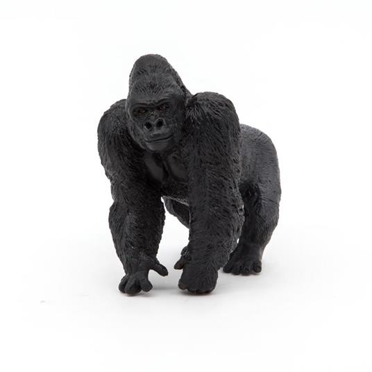 Gorilla - 6
