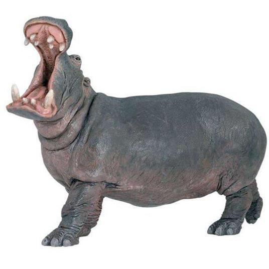 Ippopotamo