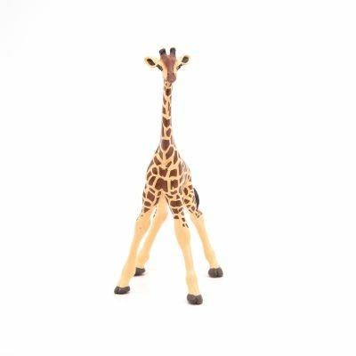 Baby giraffa - 5