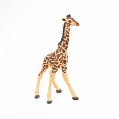 Baby giraffa - 6