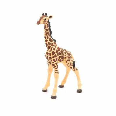 Baby giraffa - 8