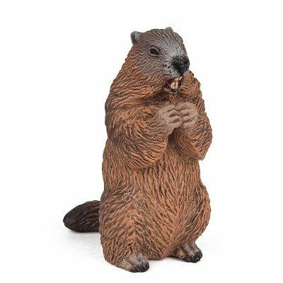 Marmotta