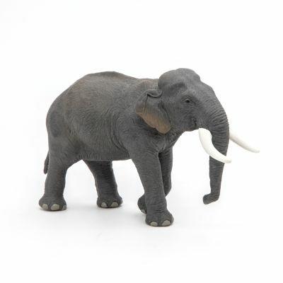 Elefante asiatico - 9