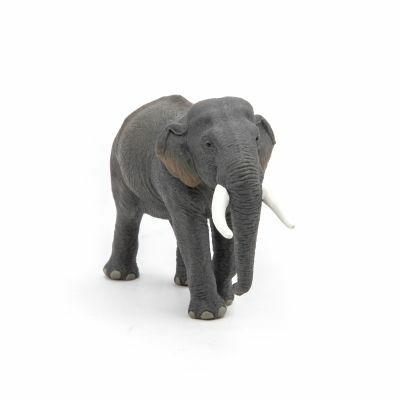 Elefante asiatico - 11