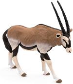 Antelope Oryx
