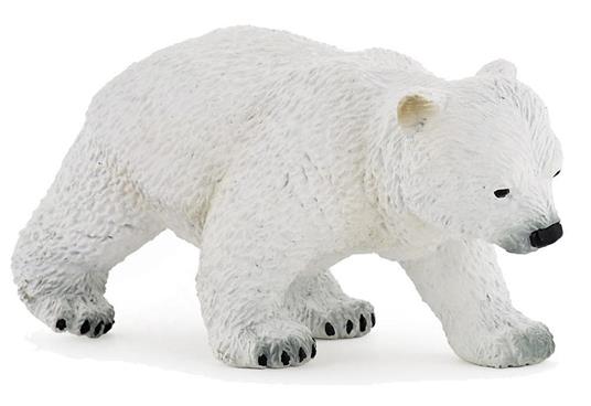 Baby orso polare che cammina - 2