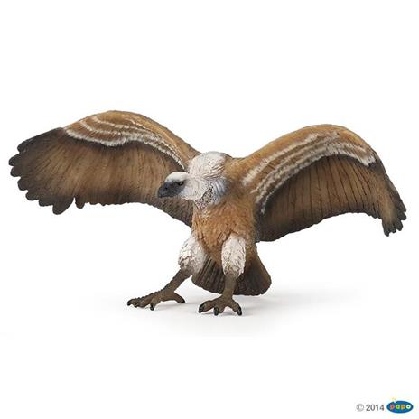 Avvoltoio - 2