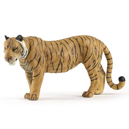 Tigre Grande