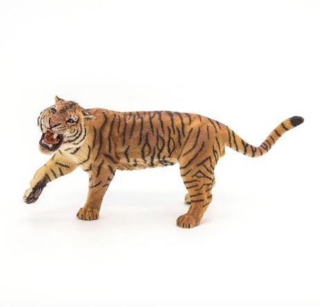 Tigre ruggente - 3