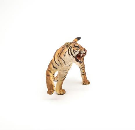 Tigre ruggente - 5