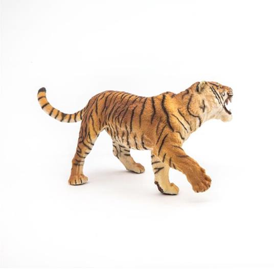Tigre ruggente - 7