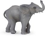 Giovane elefante