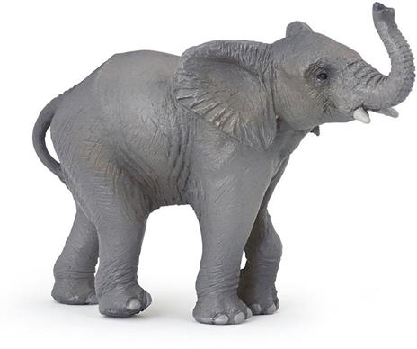 Giovane elefante