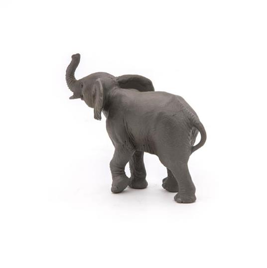 Giovane elefante - 8