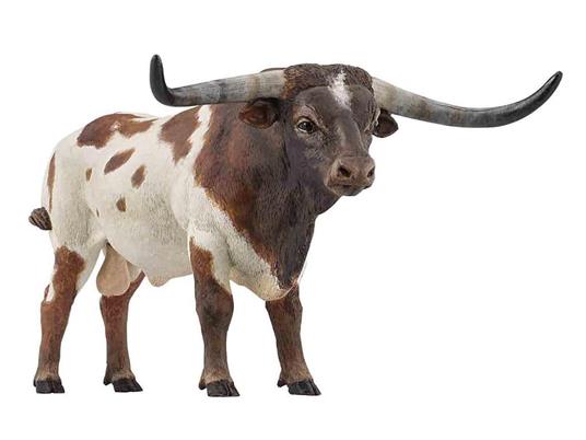 Toro texano