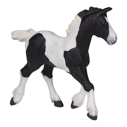 Puledro pezzato nero