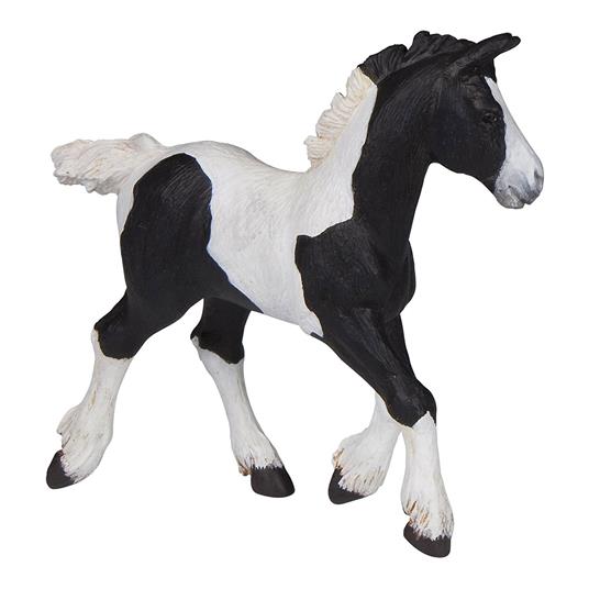Puledro pezzato nero