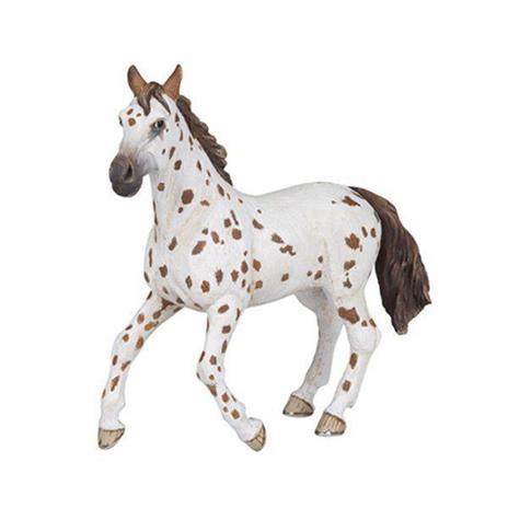 Cavallo marrone appaloosa - 2