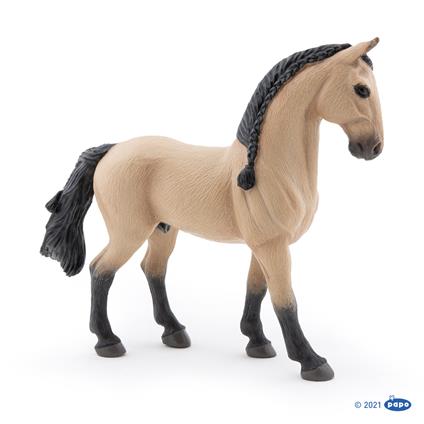 Cavallo lusitano