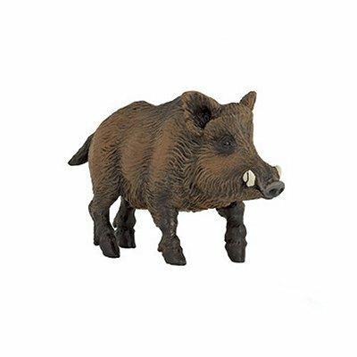 Cinghiale