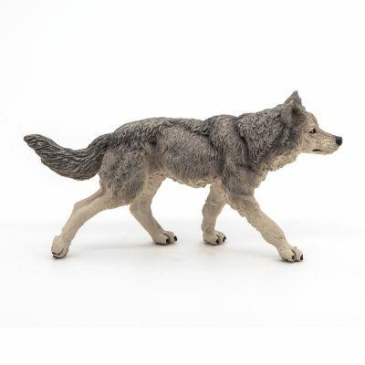 Lupo grigio - 4