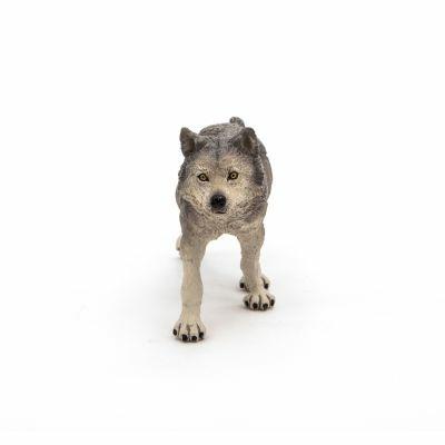 Lupo grigio - 5