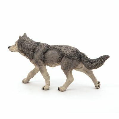Lupo grigio - 9