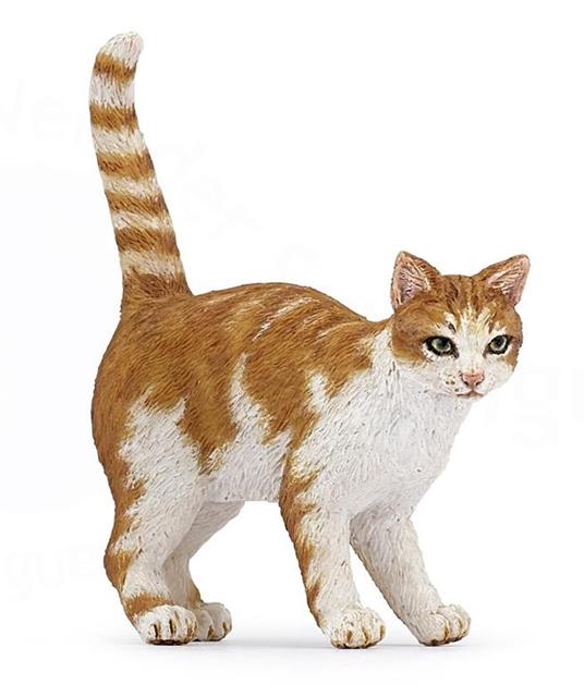 Gatto rosso