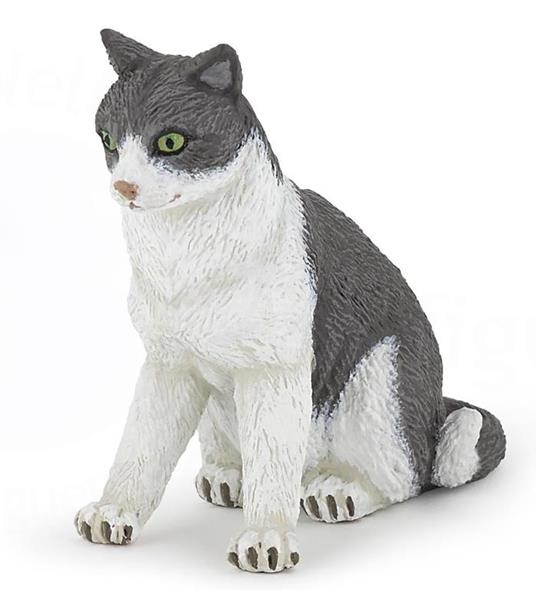 Gatto seduto