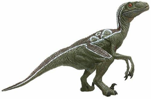 Velociraptor - 3