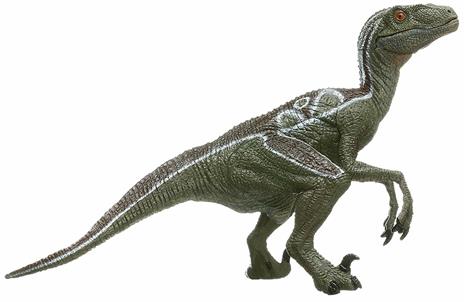 Velociraptor - 5