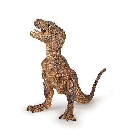 Baby T Rex Marrone - 3