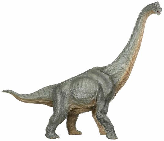 Brachiosaurus - 4