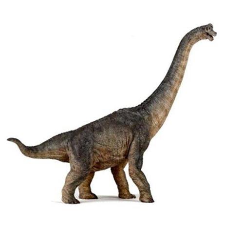 Brachiosaurus - 4