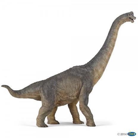 Brachiosaurus - 2