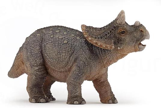 Baby triceratops - 5