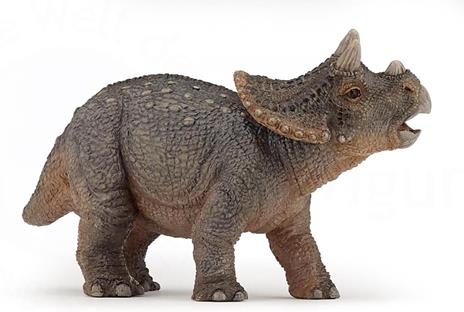 Baby triceratops - 15
