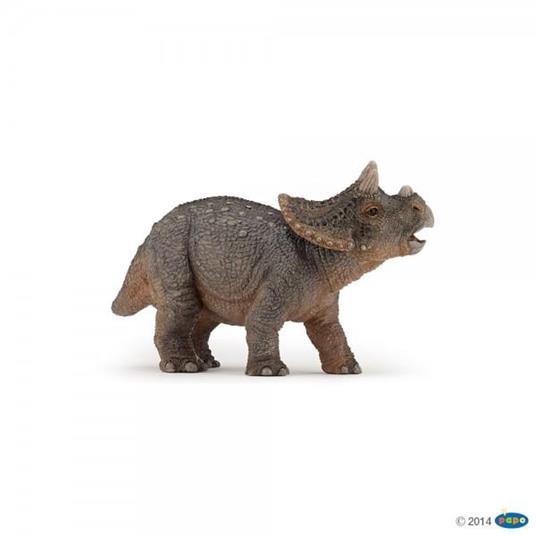 Baby triceratops - 16
