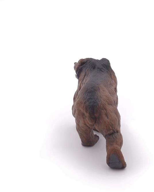 Orso della caverna - 6