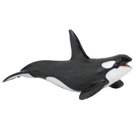 Orca