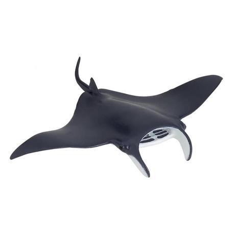 Manta