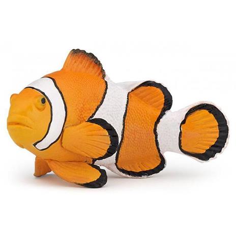 Pesce pagliaccio - 2