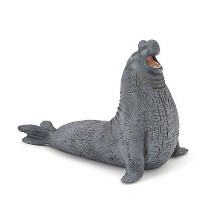 Elefante marino