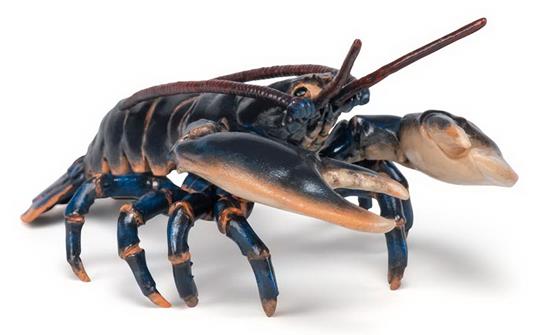 Papo: Lobster