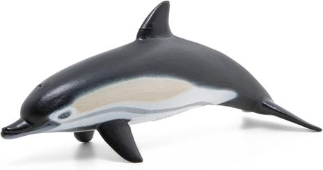 Delfino comune