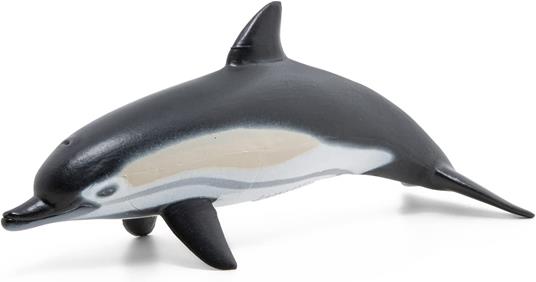 Delfino comune