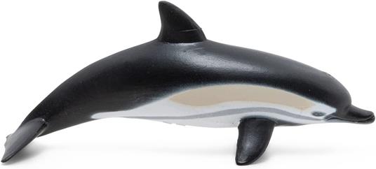 Delfino comune - 2