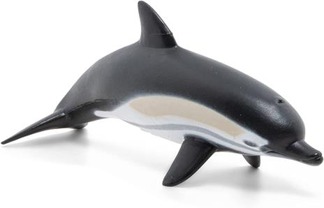 Delfino comune - 4